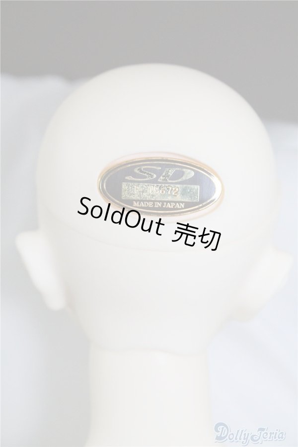 画像6: SDGｒB/F-45　フルチョイス U-24-07-02-219-NY-ZU (6)