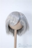 画像1: 7-8inch/ウィッグ Y-24-11-06-076-NY-ZY (1)