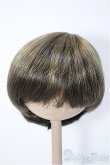 画像1: 8-9inch/ウィッグ Y-25-01-08-214-NY-ZY (1)