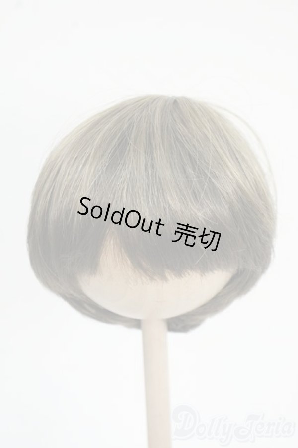 画像1: 8-9inch/ウィッグ Y-25-12-17-199-NY-ZY (1)