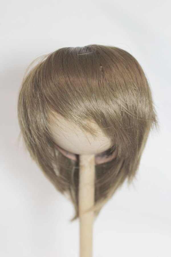 画像1: 8-9inch/ウィッグ A-25-07-09-083-NY-ZA (1)