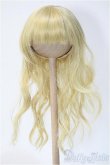画像1: 7〜8inch/ウィッグ Y-25-01-08-253-KD-ZY (1)