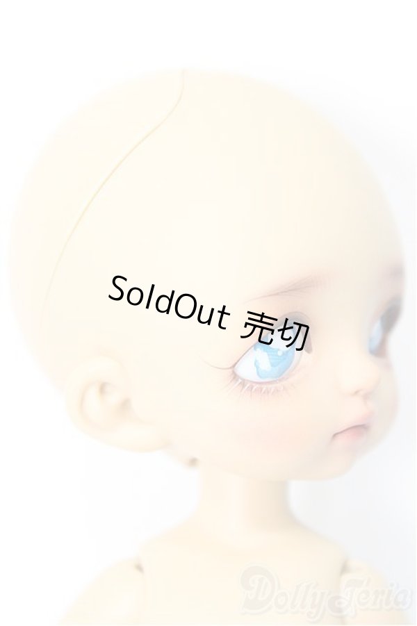 画像2: LUTS/Tiny Delf TYLTYL A-24-08-07-114-NY-ZA (2)