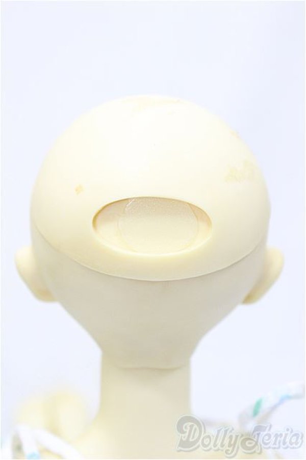 画像5: SD女の子/F-10　一体型ボディ A-24-08-07-223-NY-ZA (5)