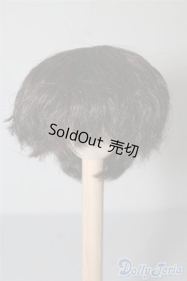 画像1: 6-7inch/ウィッグ U-24-08-13-005-NY-ZU (1)