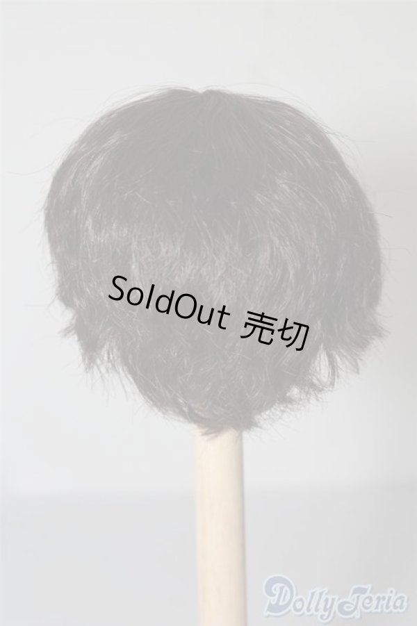 画像2: 6-7inch/ウィッグ U-24-08-13-005-NY-ZU (2)