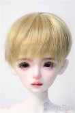 画像1: Huajing Doll/洛可 Y-25-02-19-242-NY-ZY (1)
