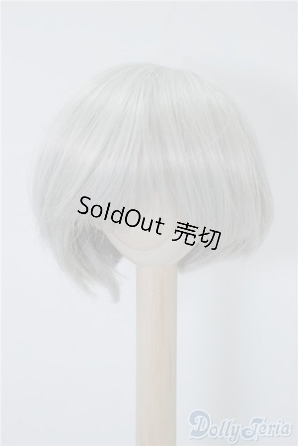 画像1: 8inch/ウィッグ U-24-09-10-041-NY-ZU (1)