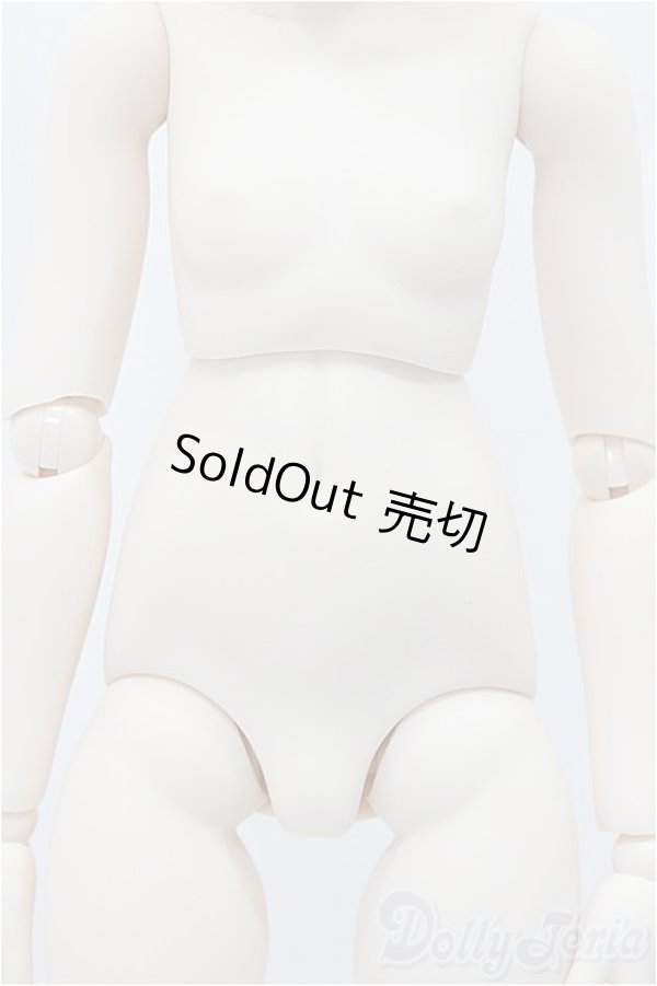 画像8: DDH-01カスタム本体&衣装 A-24-08-21-201-KD-ZA (8)