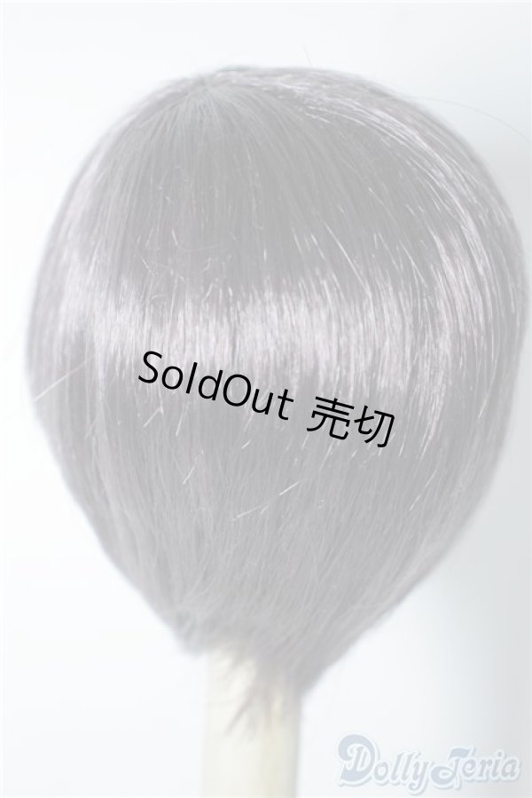 画像2: 7-8inch/ウィッグ U-24-08-20-173-NY-ZU (2)