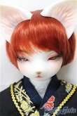 画像1: DEAR MINE/DUNE cool ver. 文豪 limited/BJD　球体関節人形 A-25-02-12-319-NY-ZA (1)