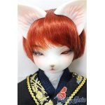 画像: DEAR MINE/DUNE cool ver. 文豪 limited/BJD　球体関節人形 A-25-02-12-319-NY-ZA