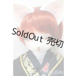 画像: DEAR MINE/DUNE cool ver. 文豪 limited/BJD　球体関節人形 A-25-02-12-319-NY-ZA