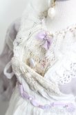 画像4: SD/OF:ドレスセット　I,V様製 S-25-04-20-570-NY-ZS (4)