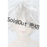 画像: SD13男の子/F-17 フルチョイス U-24-09-03-215-NY-ZU