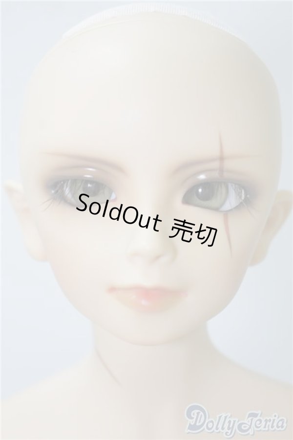 画像2: SD13男の子/F-17　フルチョイス U-24-09-03-215-NY-ZU (2)