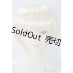 画像: SD13男の子/F-17 フルチョイス U-24-09-03-216-NY-ZU
