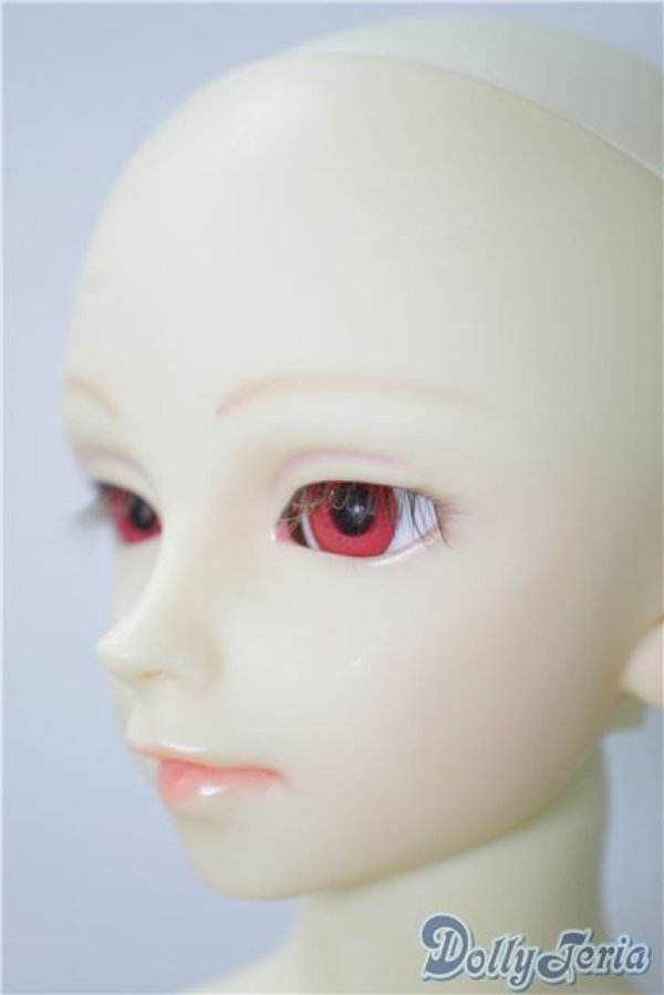 画像4: SD13男の子/F-17 フルチョイス U-24-09-03-216-NY-ZU (4)