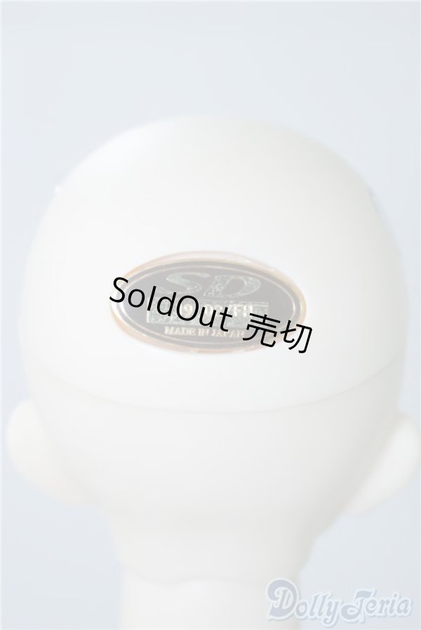 画像5: SDGrB/F-63 U-24-09-03-220-NY-ZU (5)