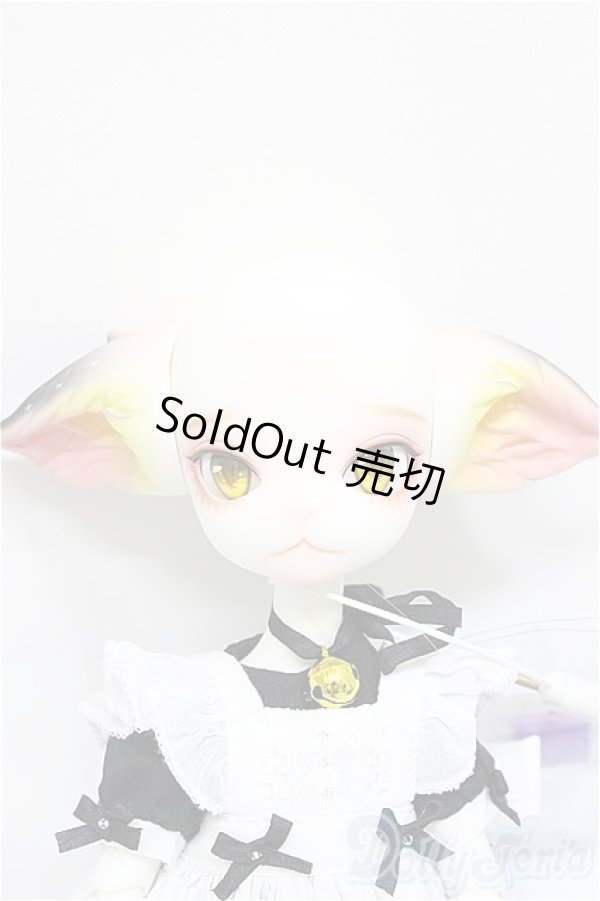 画像2: DOLK×DOLL ZONE/Miss kitty - 猫メイド ver. Limited A-24-09-18-300-KD-ZA (2)