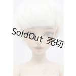 画像: Myoudoll /Daisy coffee skin 1/4 A-24-09-04-238-KD-ZA