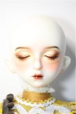 画像2: Gem of doll/Sunflower Sunny ,Vincent's Flower Fullset + Body Blush Y-25-03-05-063-NY-ZY (2)