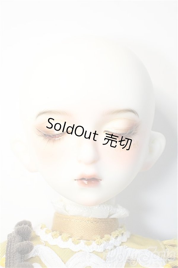 画像2: Gem of doll/Sunflower Sunny ,Vincent's Flower Fullset + Body Blush Y-25-08-13-282-NY-ZY (2)