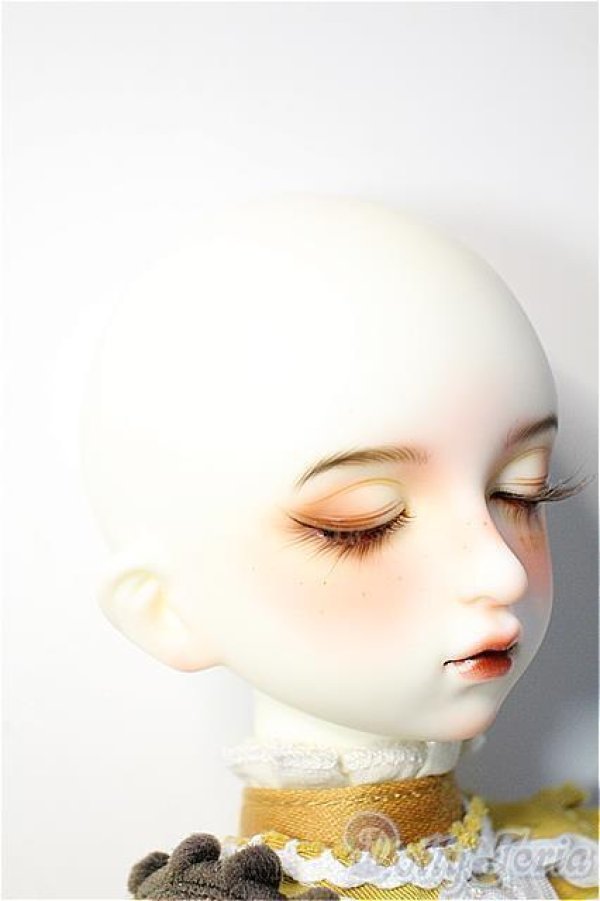 Gem of doll/Sunflower Sunny ,Vincent's Flower Fullset + Body