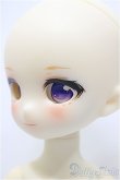 画像4: TinyFox/Lilith A-24-09-04-355-NY-ZA (4)