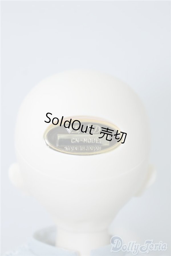 画像5: SDM女の子/F-39 コ-ディネートモデル U-24-09-17-217-NY-ZU (5)