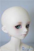 SDM男の子/F-42 フルチョイス U-24-09-24-215-NY-ZU - DOLL UP!