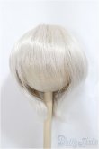 画像1: 8-9inch/ウィッグ/インチ　BJD　MJD　ドール用 A-25-01-15-307-NY-ZA (1)
