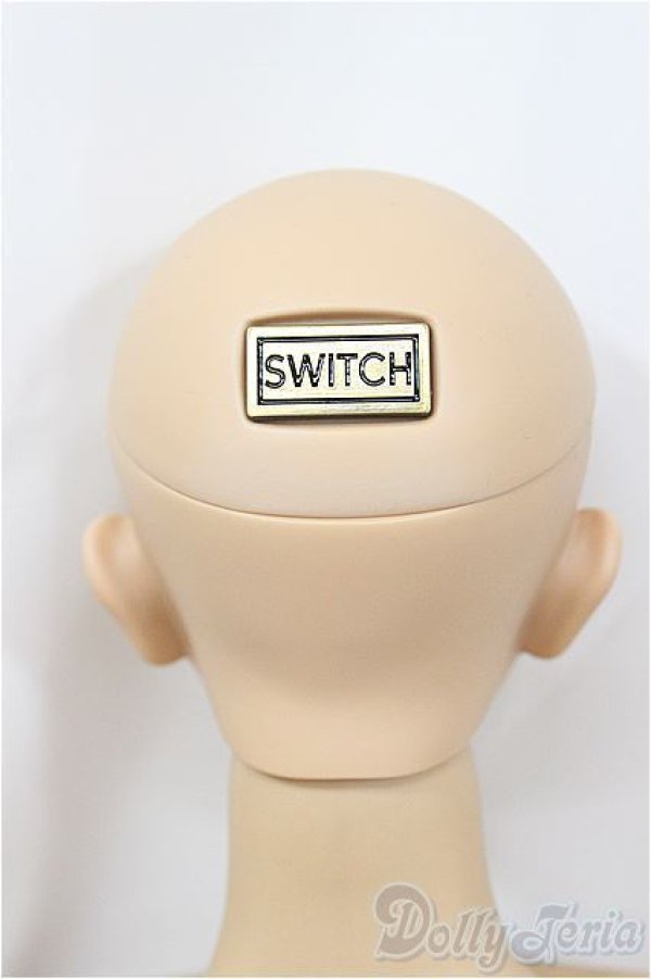 画像3: SWITCH/TAERIN bijou【MB】【HCN】/BJD　球体関節人形 A-25-02-12-327-NY-ZA (3)