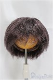 画像1: 7-8inch/ウィッグ/インチ　BJD　MJD　ドール用 A-25-04-02-403-NY-ZA (1)