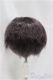 画像2: 7-8inch/ウィッグ/インチ　BJD　MJD　ドール用 A-25-04-02-403-NY-ZA (2)