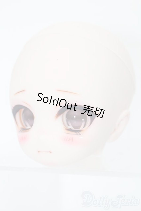 画像2: DD/DDH-01:カスタムヘッド S-25-11-02-498-NY-ZS (2)