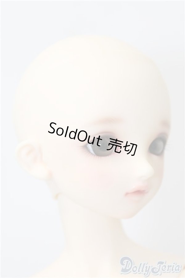 画像3: SD/まい:スタンダードモデル U-24-11-12-213-NY-ZU (3)