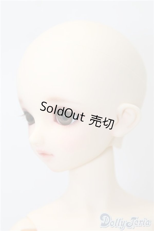 画像4: SD/まい:スタンダードモデル U-24-11-12-213-NY-ZU (4)