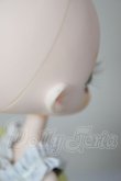 画像5: ハルモニアブルーム　Harmonia bloom/パンジー A-26-05-12-384-NY-ZA (5)