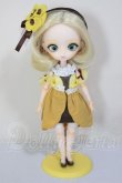 画像6: ハルモニアブルーム　Harmonia bloom/パンジー A-26-05-12-384-NY-ZA (6)