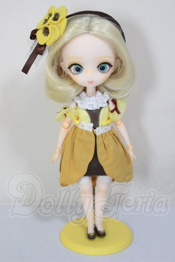 画像6: ハルモニアブルーム　Harmonia bloom/パンジー A-26-05-12-384-NY-ZA (6)