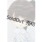 画像: ハルモニアブルーム　Harmonia bloom /ユリ A-24-11-06-253-NY-ZA