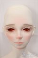画像: SWITCH/HUISA,Direction/BJD　球体関節人形 A-24-11-13-108-NY-ZA
