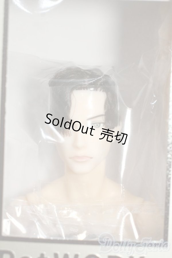 画像1: PetWORKs/六分の一男子図鑑 カジュアルテック ナイン Y-25-12-03-257-TN-ZY (1)