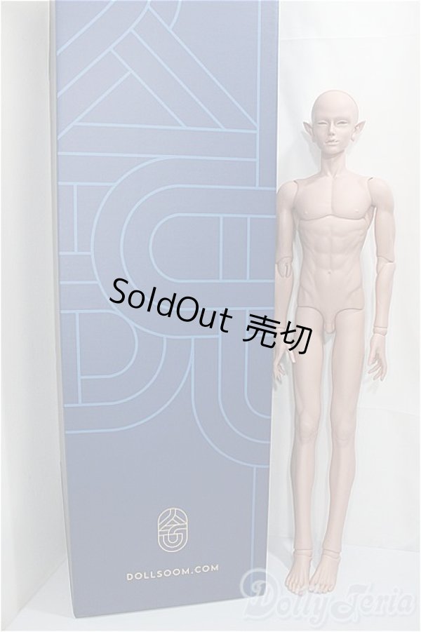 画像4: The Gem/ Sard - Surprise Fantasy Head＋Super Gem男の子(65cm)Human Body/BJD　球体関節人形 A-24-11-13-250-NY-ZA (4)