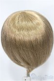 画像2: 8-9inch/ウィッグ/インチ　BJD　MJD　ドール用 A-25-04-02-424-NY-ZA (2)