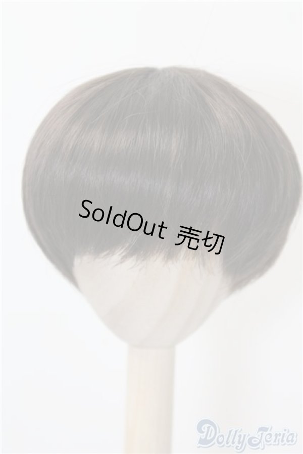 画像1: 8-9nch/ウィッグ 　CROBI製 U-24-11-26-208-NY-ZU (1)