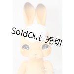 画像: cocoriang/tobi/BJD　球体関節人形 A-24-11-20-383-KD-ZA