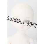 画像: 幼SD/ナナ  U-24-12-03-208-NY-ZU