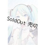 画像: DD/初音ミク NT/ A-24-12-04-161-NY-ZA
